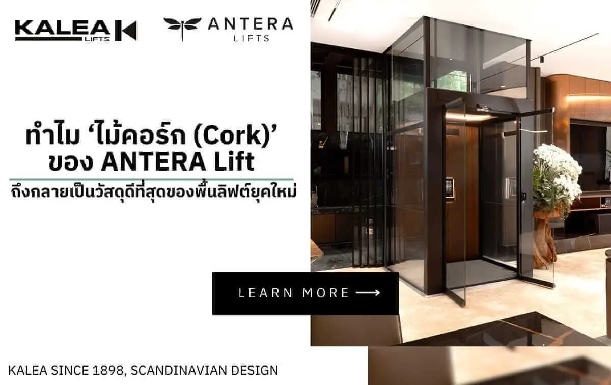 ทำไม ‘ไม้คอร์ก (Cork)’ ของ ANTERA Lift ถึงกลายเป็นวัสดุดีที่สุดของพื้นลิฟต์ยุคใหม่ ทำไม ‘ไม้คอร์ก (Cork)’ ของ ANTERA Lift ถึงกลายเป็นวัสดุดีที่สุดของพื้นลิฟต์ยุคใหม่