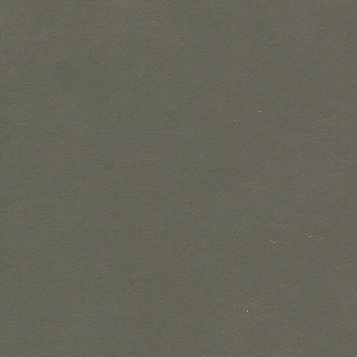 New Flooring ANTERA 3376 Peat