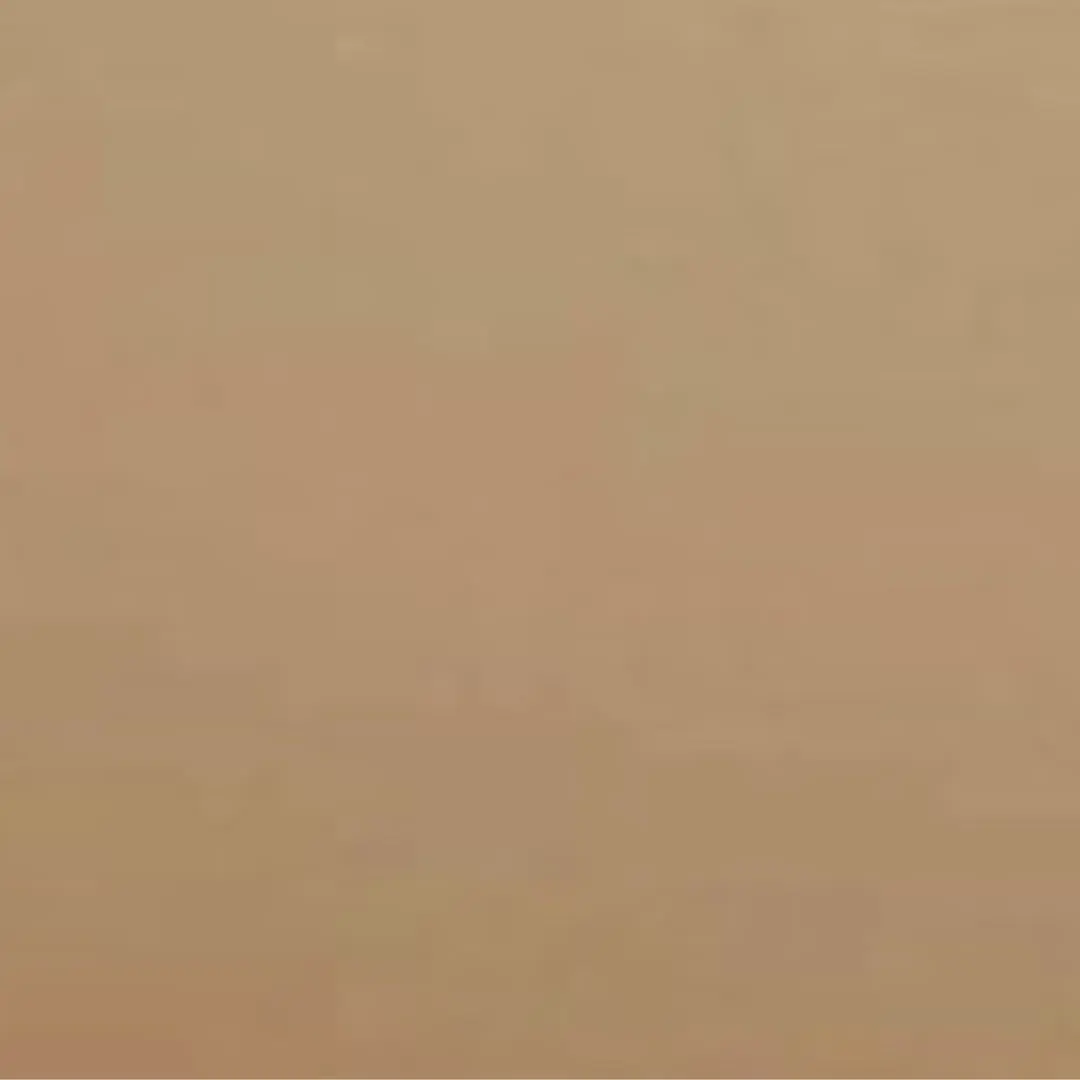 Oriental Grey Beige.jpg