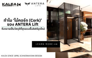 ทำไม ‘ไม้คอร์ก (Cork)’ ของ ANTERA Lift ถึงกลายเป็นวัสดุดีที่สุดของพื้นลิฟต์ยุคใหม่