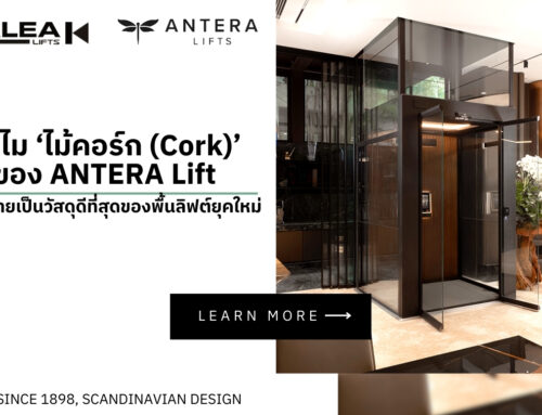 ทำไม ‘ไม้คอร์ก (Cork)’ ของ ANTERA Lift ถึงกลายเป็นวัสดุดีที่สุดของพื้นลิฟต์ยุคใหม่